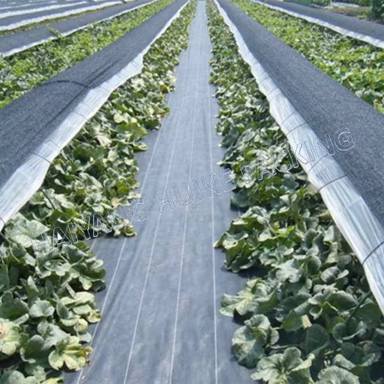 Tappetino per il controllo delle infestanti in tessuto non tessuto biodegradabile Spunbond per serra